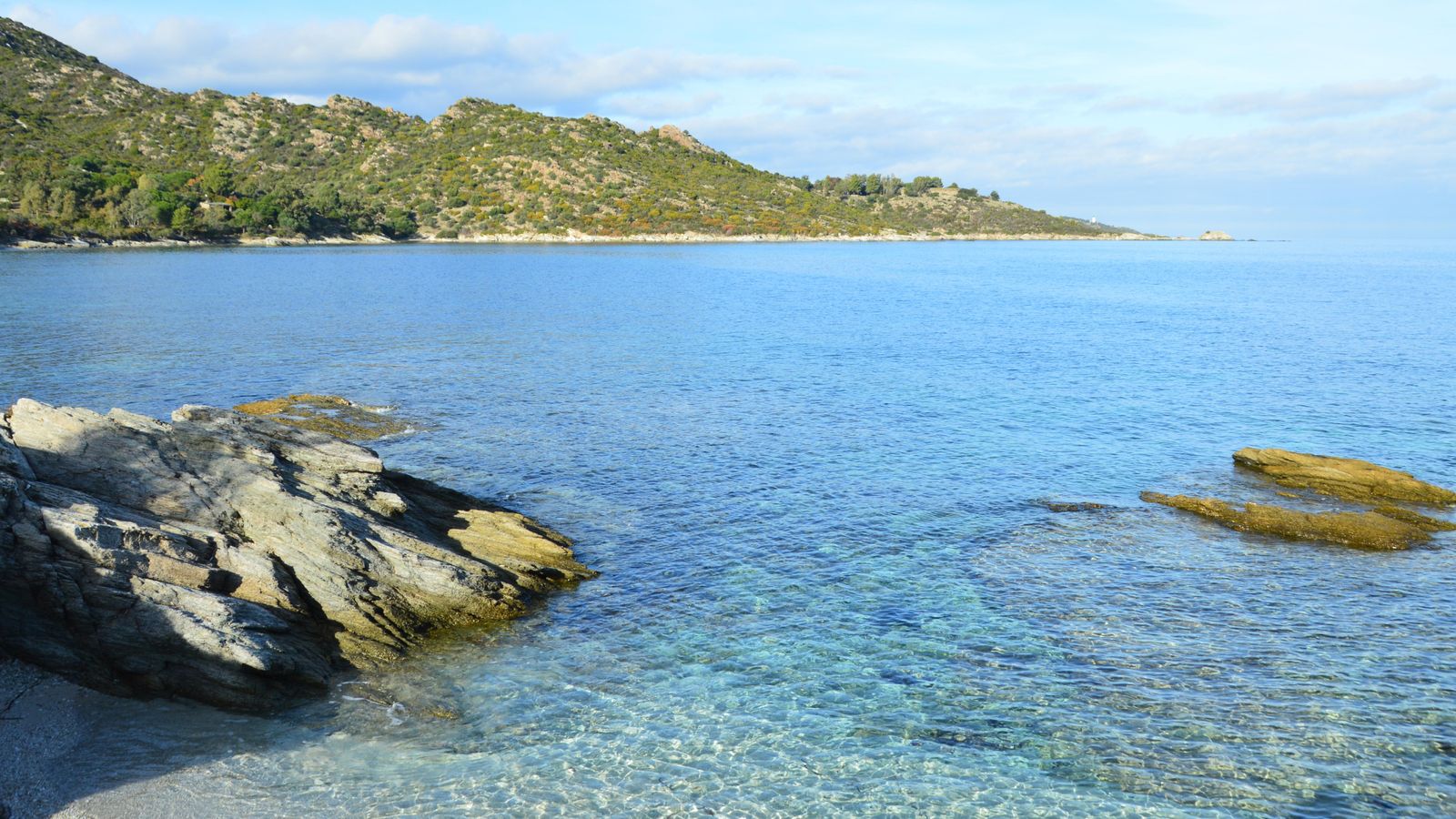 Mediterrano